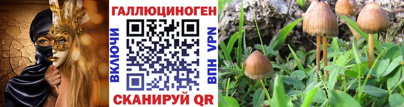 наркота  omg рабочий сайт  Галлюциногенные грибы GOLDEN TEACHER  Буйнакск 